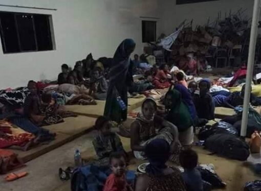 Godinaalee Wallaggaa Lamaan Keessatti Lammiileen Oromoo Qe’ee Ofii Irraa Buqqa’anii Bakkoota Adda Addaa Jiran Gargaarsa Dhabuu Irraa Akka Rakkataa Jiran Iyyatan 