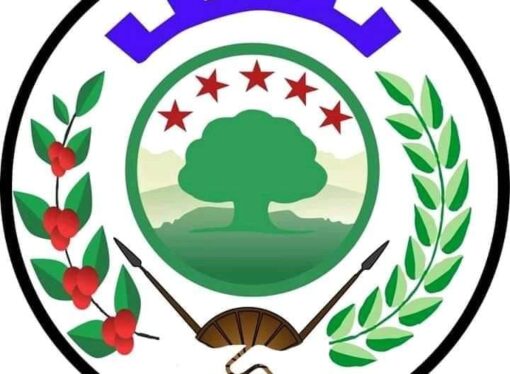 በመንግስትና በመንግስት በሚደገፉ ኃይሎች በኦሮሚያ ክልል የሚፈፀሙ የንፁሃን ዜጎች ግድያ ሊቆም ይገባል፡፡￼