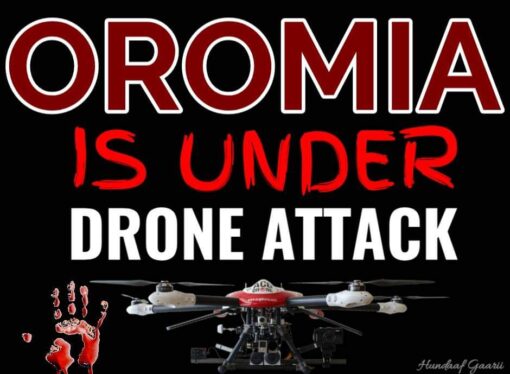 Haleellaa Xayyaara Nam-maleeyyii (Drone) Godinoota Oromiyaa bakka garagaraatti raawwatameen Lammiilee nagaan 100 ol ta’an ajjeesamuu odeessi ummata keessaa ba’aa jiru ifa godha.