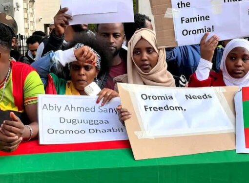Hawaasni Oromoo UK Hiriira Balaaleffannaa Sirna Bilxiginnaa Irratti Deemsise