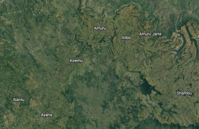 Explorando la Selección de Tragamonedas en Betida Casino y Qué Significan los RTP