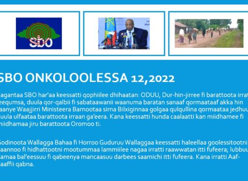 SBO Onkoloolessa 12,2022