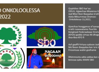 SBO ONKOLOOLESSA 14,2022