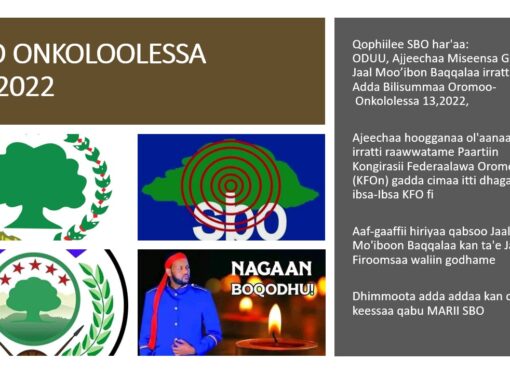 SBO ONKOLOOLESSA 14,2022