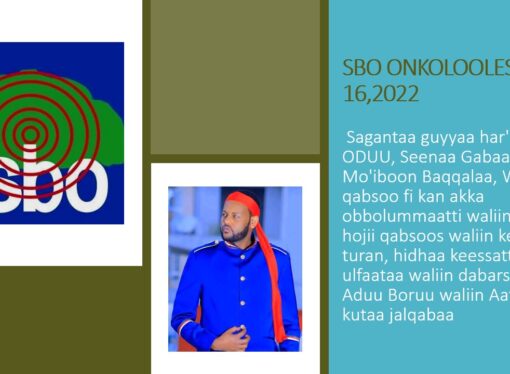 SBO ONKOLOOLESSA 16,2022