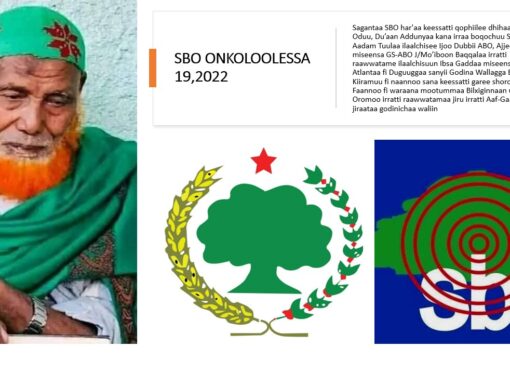 SBO ONKOLOOLESSA 19,2022