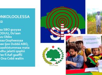 ONKOLOOLESSA 28,2022
