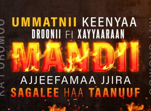 <strong>Kan Raawwatamaa Jiru Yakka Waraanaa fi Duguuggaa Sanyii ti.</strong>