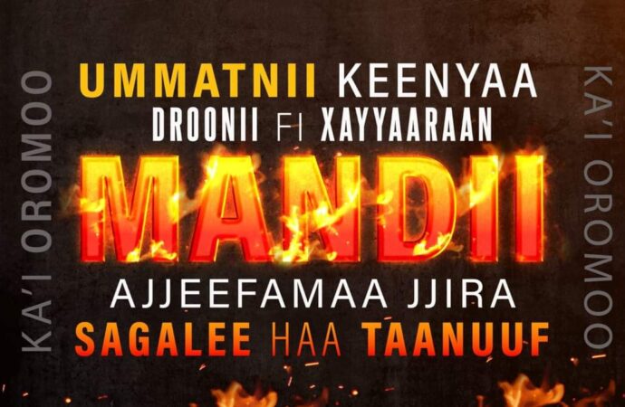 <strong>Kan Raawwatamaa Jiru Yakka Waraanaa fi Duguuggaa Sanyii ti.</strong>