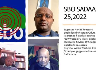 SBO Sadaasa 25,2022