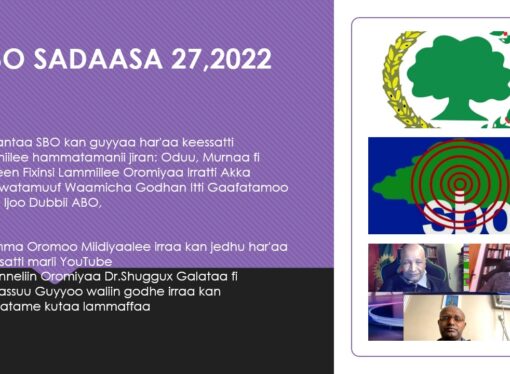 SBO Sadaasa 27,2022