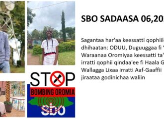 Sagantaa SBO Sadaasa 06,2022