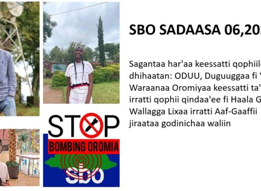 Sagantaa SBO Sadaasa 06,2022