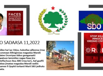 SBO Sadaasa 11,2022
