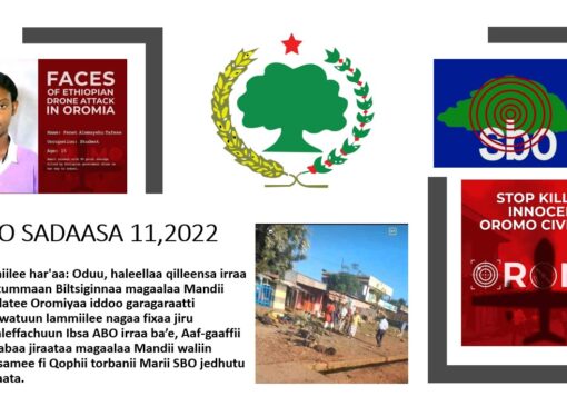 SBO Sadaasa 11,2022