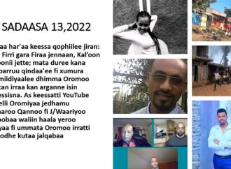 SBO SADAASA 13,2022