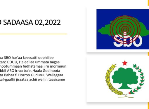 SBO SADAASA 02,2022