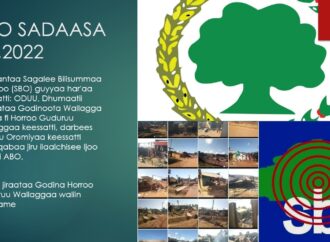 Sagantaa SBO Sadaasa 20,2022