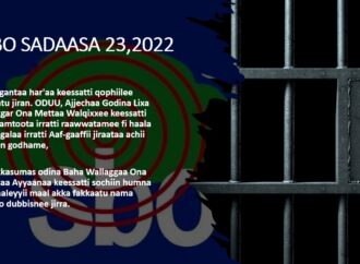SBO Sadaasa 23,2022