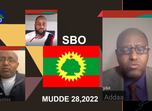 SBO MUDDE 28,2022