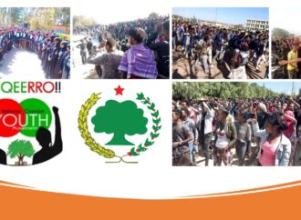 SBO Mudde 07,2022