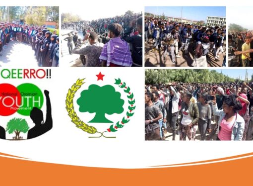 SBO Mudde 07,2022