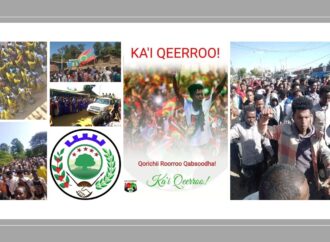 SBO Mudde 09,2022