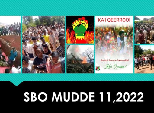 SBO Mudde 11,2022