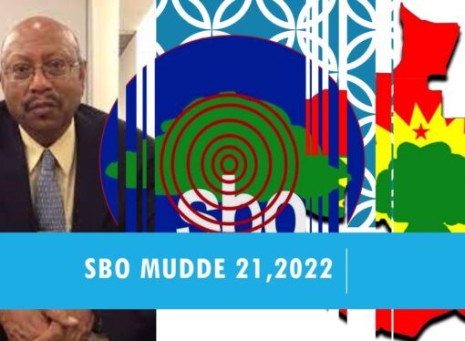 SBO Mudde 21,2022