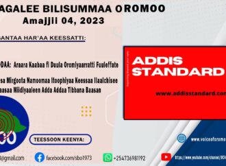 SBO AMAJJII 04,2023