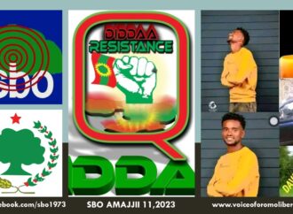SBO AMAJJII 11,2023