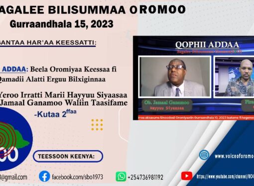 SBO GURRAANDHALA 15,2023