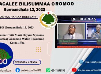 SBO GURRAANDHALA 12,2023