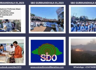 SBO GURRAANDHALA 01,2023