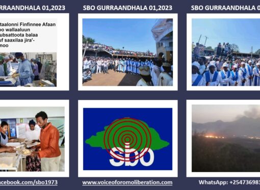 SBO GURRAANDHALA 01,2023