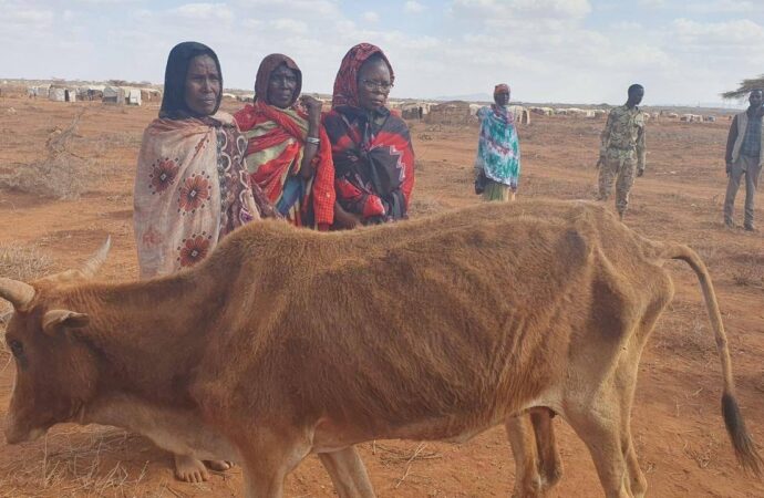 <strong>Kibba Oromiyaa Godina Booranaatti Hongee dhalateen walqabatee Beelli seene ammallee ummata miliyoonatti herregamuuf yaaddoo dha.</strong>