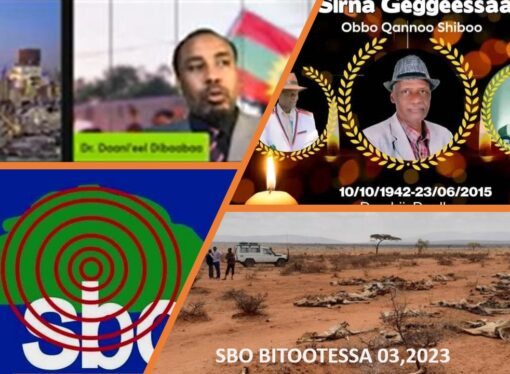 SBO BITOOTESSA 03,2023