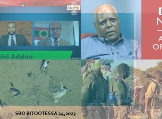 SBO BITOOTESSA 24,2023