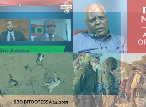 SBO BITOOTESSA 24,2023