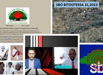 SBO BITOOTESSA 31,2023