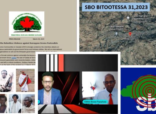 SBO BITOOTESSA 31,2023