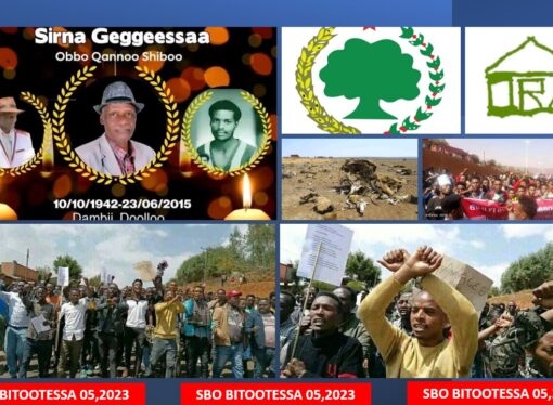 SBO BITOOTESSA 05,2023