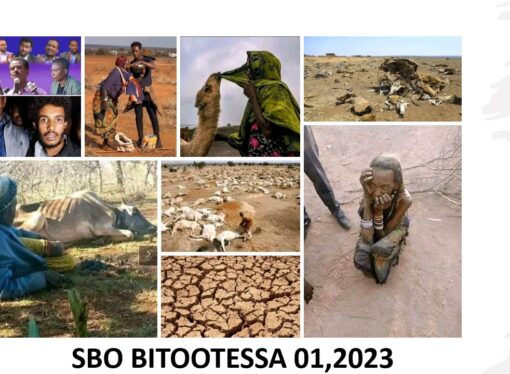 SBO BITOOTESSA 01,2023