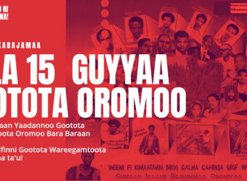 Gootota Wareegamtoota Oromoo