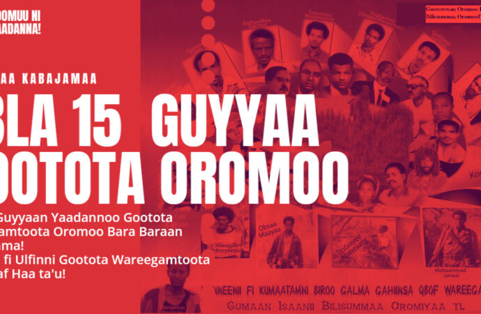 Gootota Wareegamtoota Oromoo