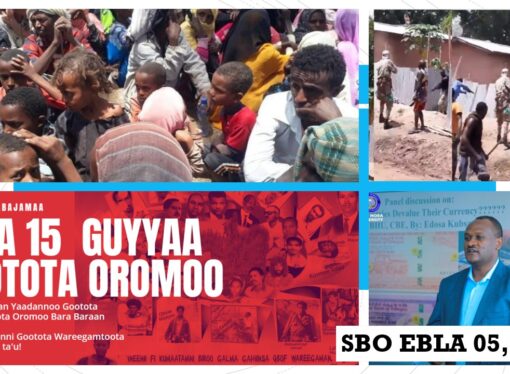 SBO EBLA 05,2023