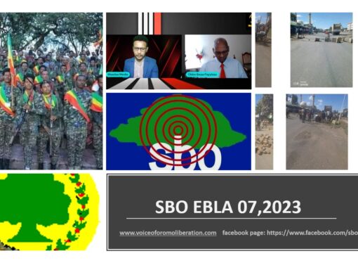 SBO EBLA 07,2023
