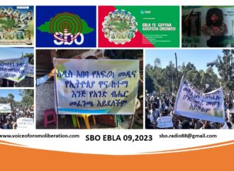 SBO EBLA 09,2023