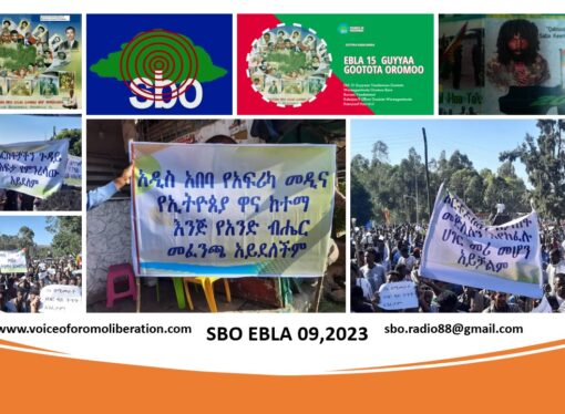 SBO EBLA 09,2023