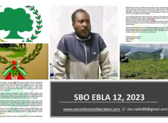 SBO EBLA 12,2023
